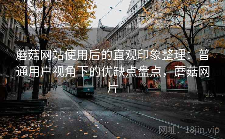 蘑菇网站使用后的直观印象整理：普通用户视角下的优缺点盘点，蘑菇网片