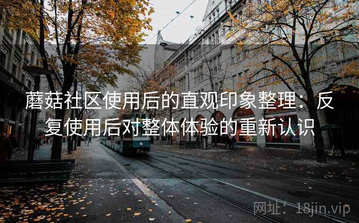 蘑菇社区使用后的直观印象整理：反复使用后对整体体验的重新认识