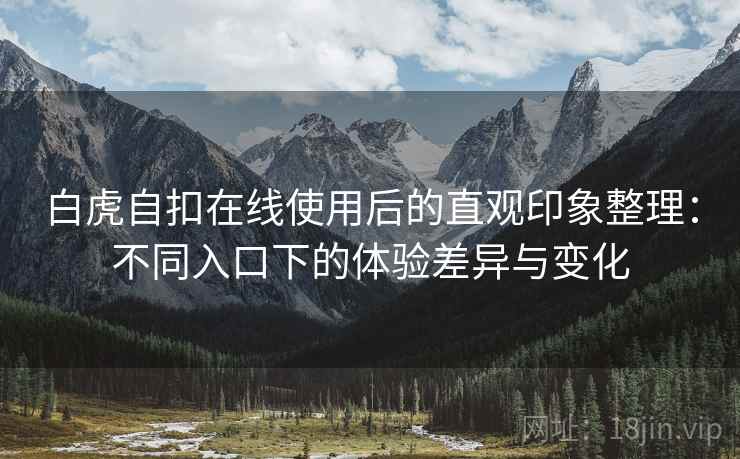 白虎自扣在线使用后的直观印象整理：不同入口下的体验差异与变化