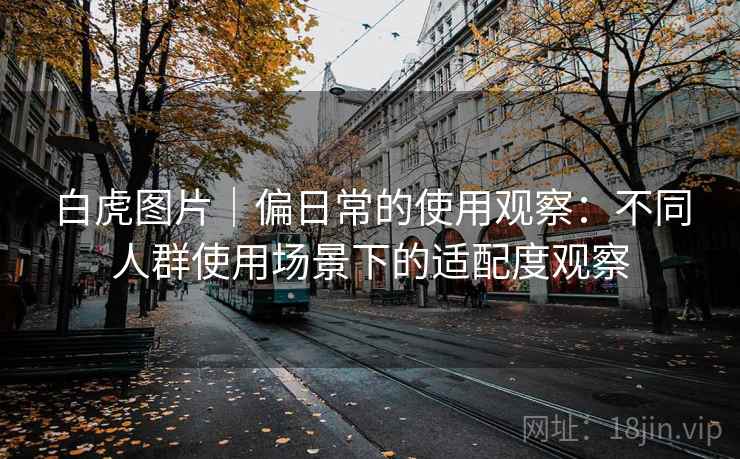 白虎图片｜偏日常的使用观察：不同人群使用场景下的适配度观察