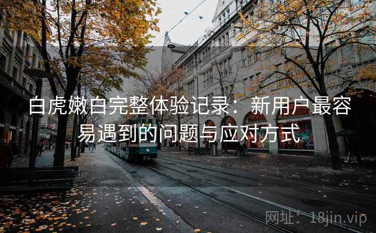 白虎嫩白完整体验记录：新用户最容易遇到的问题与应对方式