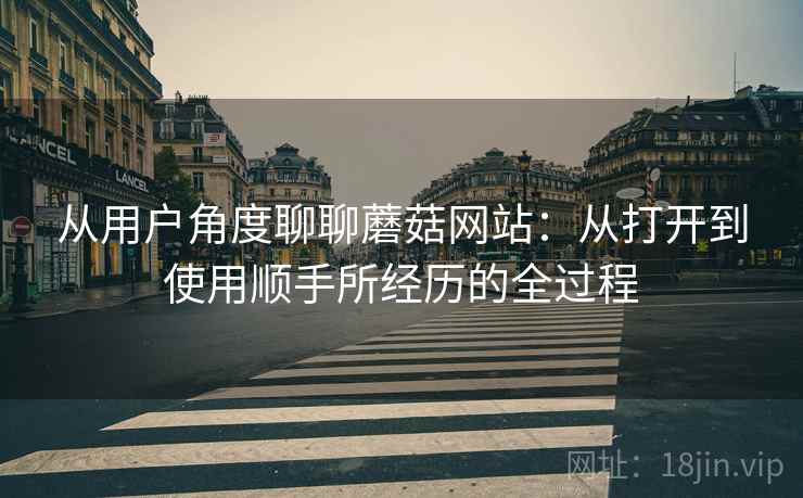 从用户角度聊聊蘑菇网站：从打开到使用顺手所经历的全过程