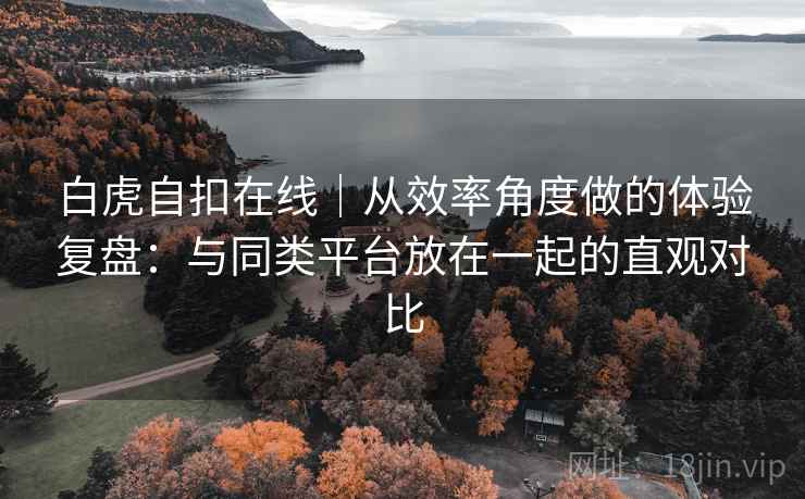 白虎自扣在线｜从效率角度做的体验复盘：与同类平台放在一起的直观对比