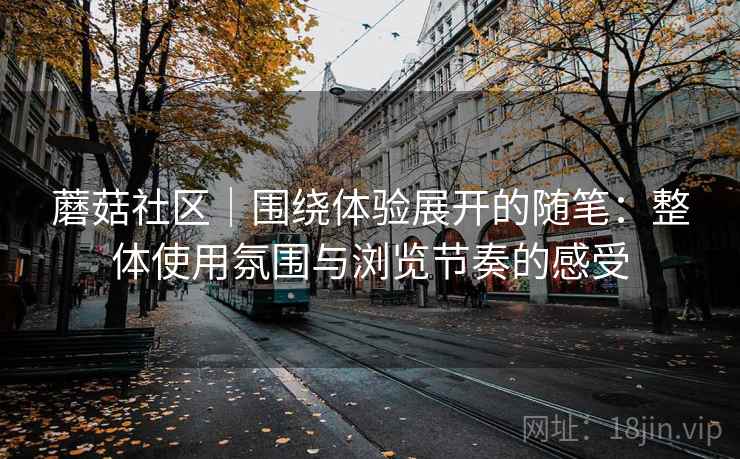 蘑菇社区｜围绕体验展开的随笔：整体使用氛围与浏览节奏的感受