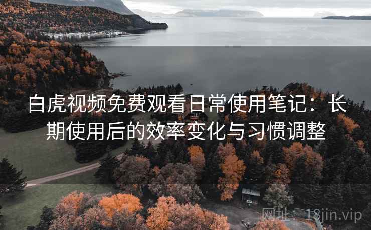 白虎视频免费观看日常使用笔记：长期使用后的效率变化与习惯调整