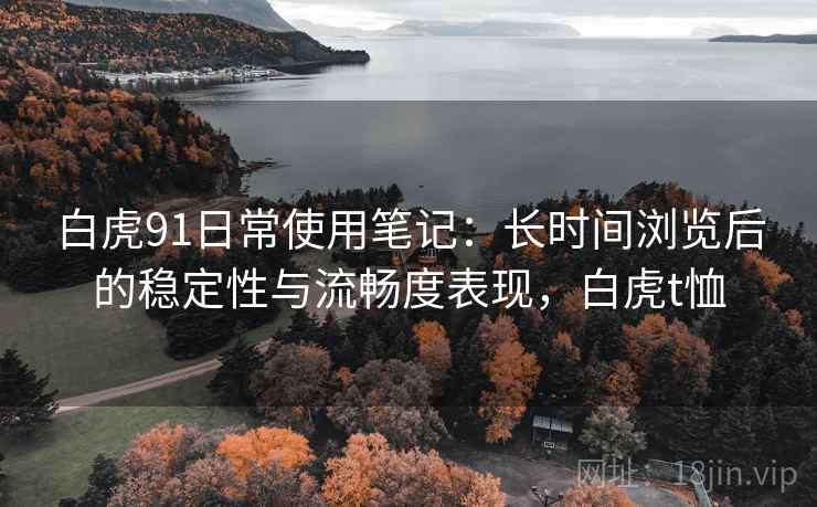 白虎91日常使用笔记：长时间浏览后的稳定性与流畅度表现，白虎t恤