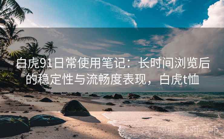 白虎91日常使用笔记：长时间浏览后的稳定性与流畅度表现，白虎t恤