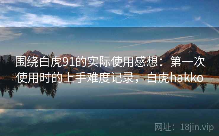 围绕白虎91的实际使用感想：第一次使用时的上手难度记录，白虎hakko