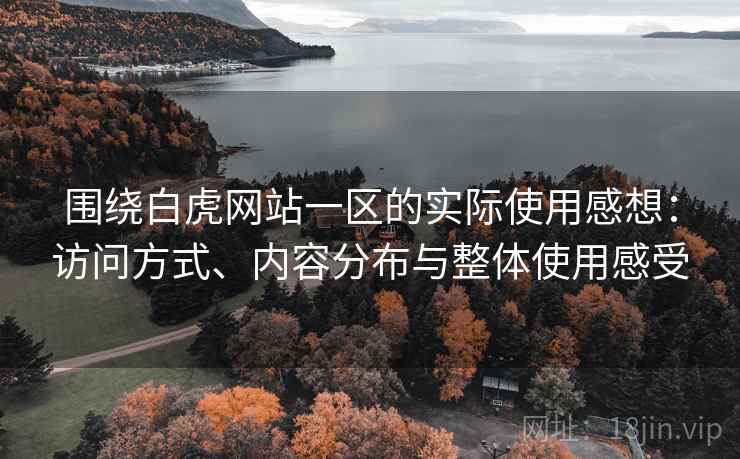 围绕白虎网站一区的实际使用感想：访问方式、内容分布与整体使用感受