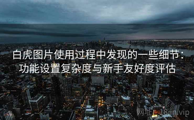 白虎图片使用过程中发现的一些细节：功能设置复杂度与新手友好度评估