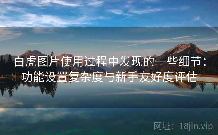 白虎图片使用过程中发现的一些细节：功能设置复杂度与新手友好度评估