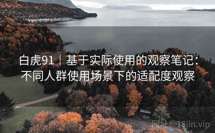 白虎91｜基于实际使用的观察笔记：不同人群使用场景下的适配度观察