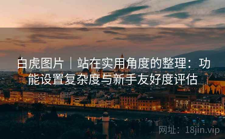 白虎图片｜站在实用角度的整理：功能设置复杂度与新手友好度评估