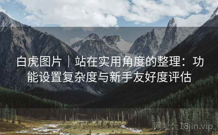 白虎图片｜站在实用角度的整理：功能设置复杂度与新手友好度评估