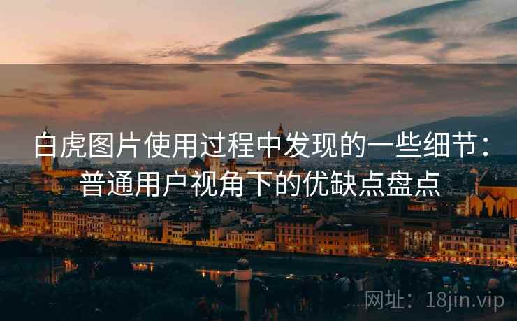 白虎图片使用过程中发现的一些细节：普通用户视角下的优缺点盘点