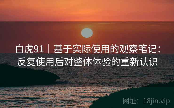 白虎91｜基于实际使用的观察笔记：反复使用后对整体体验的重新认识