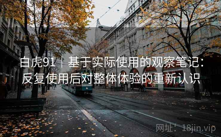白虎91|基于实际使用的观察笔记:反复使用后对整体体验的重新认识 白虎91|基于实际使用的观察笔记:反复使用后对整体体验的重新认识